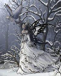 军校宿舍唯一直男免费阅读在线